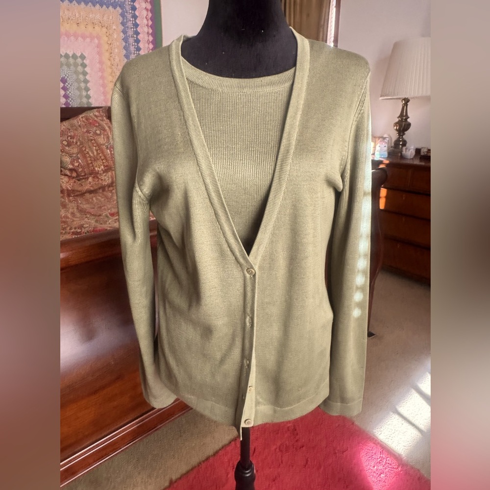 BARRY BRICKEN silk sweater set.  Beautiful sage color.